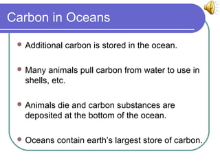 Carbon cycle (ANIMATED)