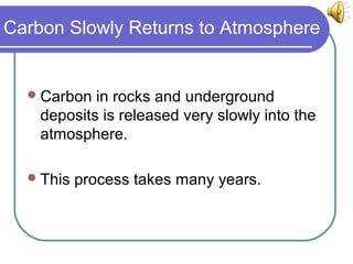 Carbon cycle (ANIMATED)