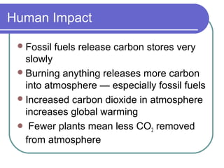 Human Impact
Fossil fuels release carbon stores very
slowly
Burning anything releases more carbon
into atmosphere — especially fossil fuels
Increased carbon dioxide in atmosphere
increases global warming
 Fewer plants mean less CO2 removed
from atmosphere
 