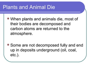 Plants and Animal Die
When plants and animals die, most of
their bodies are decomposed and
carbon atoms are returned to the
atmosphere.
Some are not decomposed fully and end
up in deposits underground (oil, coal,
etc.).
 