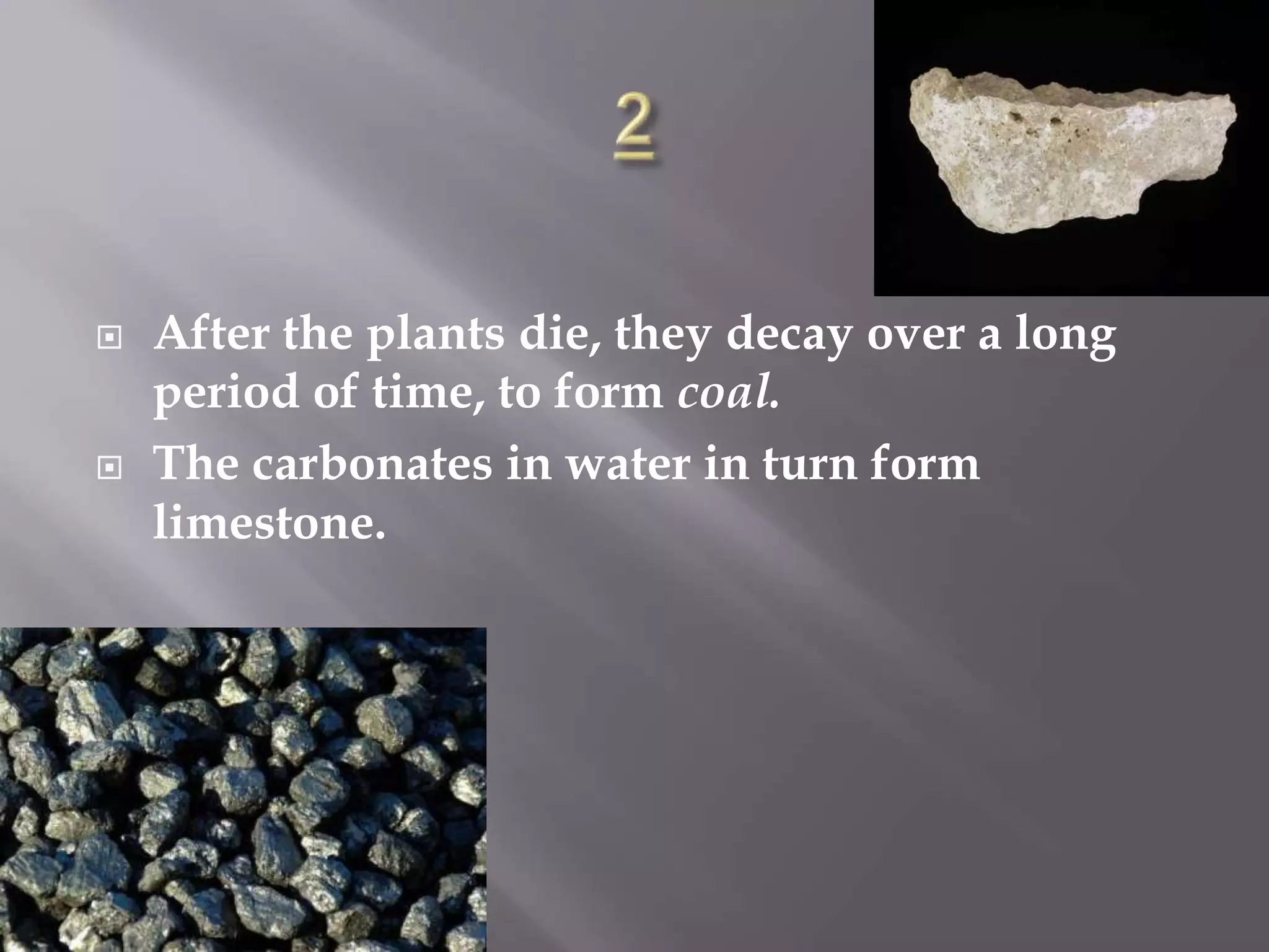  After the plants die, they decay over a long
period of time, to form coal.
 The carbonates in water in turn form
limestone.
 