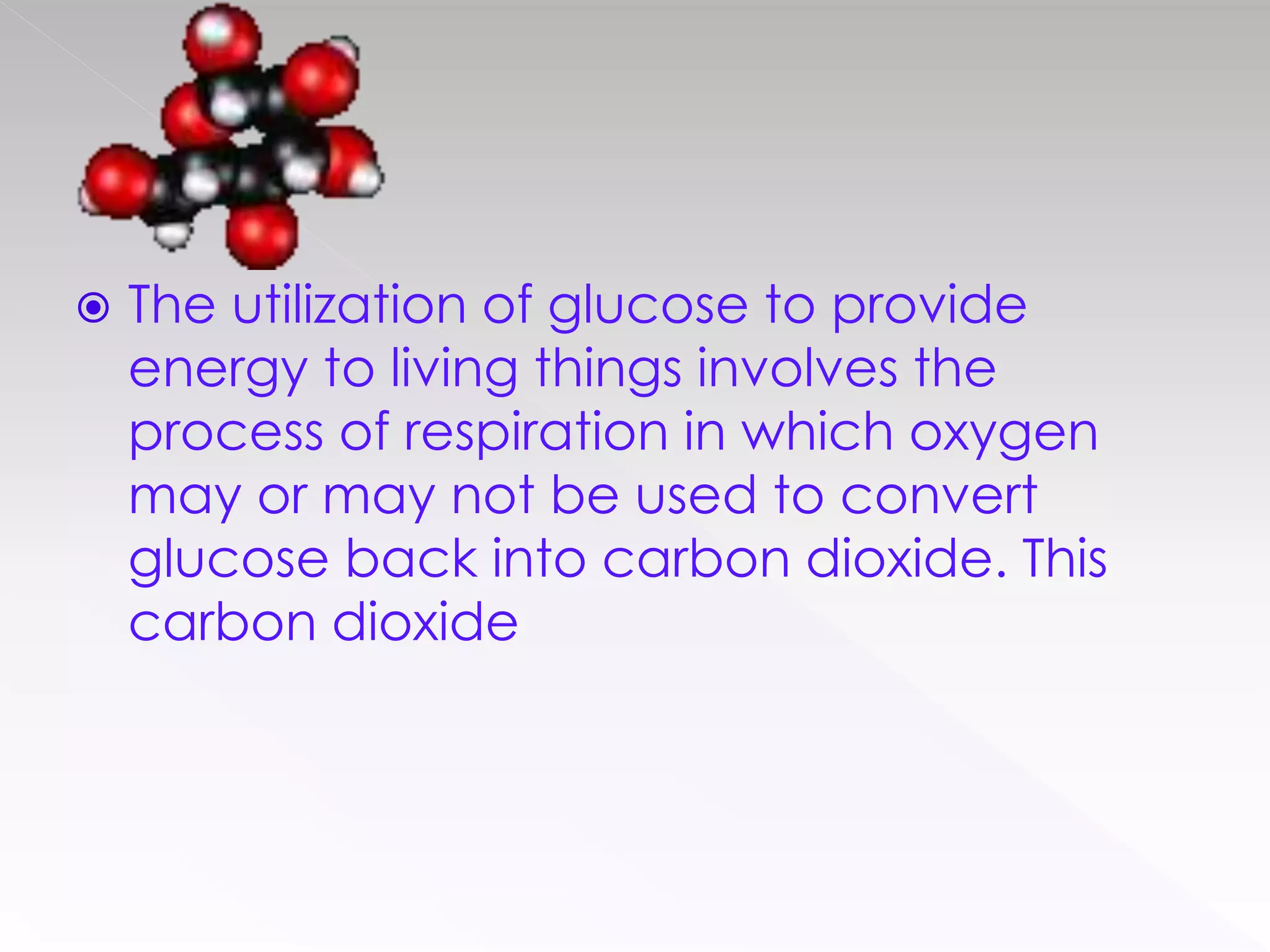  The utilization of glucose to provide
energy to living things involves the
process of respiration in which oxygen
may or may not be used to convert
glucose back into carbon dioxide. This
carbon dioxide
 