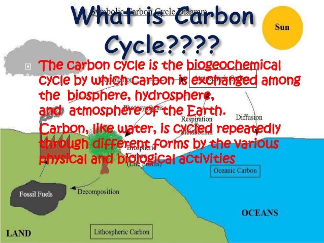 carbon sequencher definition carbon sequencher definition