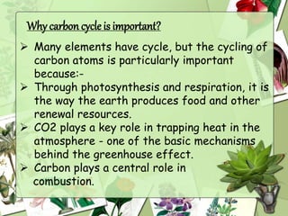 carboncycle