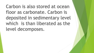 Carbon is also stored at ocean
floor as carbonate. Carbon is
deposited in sedimentary level
which is than liberated as the
level decomposes.
 