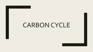 CARBON CYCLE
 