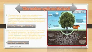  The major source of carbon in the atmosphere comes
from carbon dioxide. Carbon dioxide enters the
atmosphere through respiration and combustion process.
The process of photosynthesis involves the absorption of
CO2 by plants to produce carbohydrates and the equation
is as follows.
 Carbon compounds are passed along the food chain from
the producers to consumers. The majority of the carbon
exists in the body in the form of carbon dioxide
through respiration. The role of decomposers is to eat the
dead organism and return the carbon from their body
back into the atmosphere and the equation goes like
these:
CARBON CYVLE - Ankita 20
 