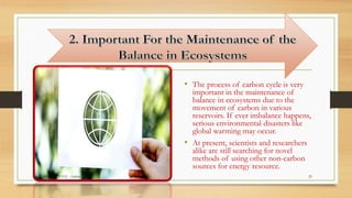 • The process of carbon cycle is very
important in the maintenance of
balance in ecosystems due to the
movement of carbon in various
reservoirs. If ever imbalance happens,
serious environmental disasters like
global warming may occur.
• At present, scientists and researchers
alike are still searching for novel
methods of using other non-carbon
sources for energy resource.
CARBON CYVLE - Ankita 25
 
