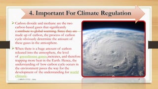 Carbon dioxide and methane are the two
carbon-based gases that significantly
contribute to global warming. Since they are
made up of carbon, the process of carbon
cycle obviously determine the amount of
these gases in the atmosphere.
When there is a huge amount of carbon
released into the atmosphere, the level
of greenhouse gases increases, and therefore
trapping more heat in the Earth. Hence, the
understanding of how carbon cycle occurs in
the environment paves the way for the
development of the understanding for world
climate.
CARBON CYVLE - Ankita 27
 