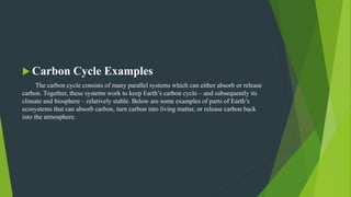  Carbon Cycle Examples
The carbon cycle consists of many parallel systems which can either absorb or release
carbon. Together, these systems work to keep Earth’s carbon cycle – and subsequently its
climate and biosphere – relatively stable. Below are some examples of parts of Earth’s
ecosystems that can absorb carbon, turn carbon into living matter, or release carbon back
into the atmosphere.
 