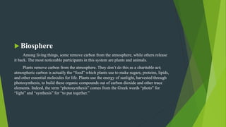  Biosphere
Among living things, some remove carbon from the atmosphere, while others release
it back. The most noticeable participants in this system are plants and animals.
Plants remove carbon from the atmosphere. They don’t do this as a charitable act;
atmospheric carbon is actually the “food” which plants use to make sugars, proteins, lipids,
and other essential molecules for life. Plants use the energy of sunlight, harvested through
photosynthesis, to build these organic compounds out of carbon dioxide and other trace
elements. Indeed, the term “photosynthesis” comes from the Greek words “photo” for
“light” and “synthesis” for “to put together.”
 
