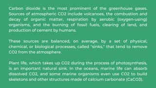 Carbon dioxide is the most prominent of the greenhouse gases.
Sources of atmospheric CO2 include volcanoes, the combustion and
decay of organic matter, respiration by aerobic (oxygen-using)
organisms, and the burning of fossil fuels, clearing of land, and
production of cement by humans.
These sources are balanced, on average, by a set of physical,
chemical, or biological processes, called "sinks," that tend to remove
CO2 from the atmosphere.
Plant life, which takes up CO2 during the process of photosynthesis,
is an important natural sink. In the oceans, marine life can absorb
dissolved CO2, and some marine organisms even use CO2 to build
skeletons and other structures made of calcium carbonate (CaCO3).
 
