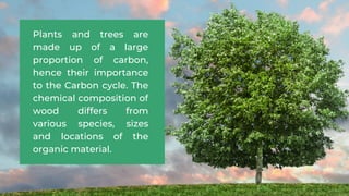 Plants and trees are
made up of a large
proportion of carbon,
hence their importance
to the Carbon cycle. The
chemical composition of
wood differs from
various species, sizes
and locations of the
organic material.
 