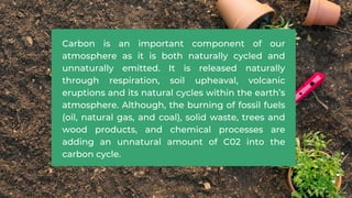 Carbon is an important component of our
atmosphere as it is both naturally cycled and
unnaturally emitted. It is released naturally
through respiration, soil upheaval, volcanic
eruptions and its natural cycles within the earth’s
atmosphere. Although, the burning of fossil fuels
(oil, natural gas, and coal), solid waste, trees and
wood products, and chemical processes are
adding an unnatural amount of C02 into the
carbon cycle.
 