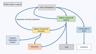 CO2 in Atmosphere
Organic compounds
(plants)
Carbonates in
water
Limestone
Coal
Organic Compounds
(animals)
Petroleum
Inorganic
Carbonates
(shells)
Respiration And Decomposition
Carbon Cycle in nature
 