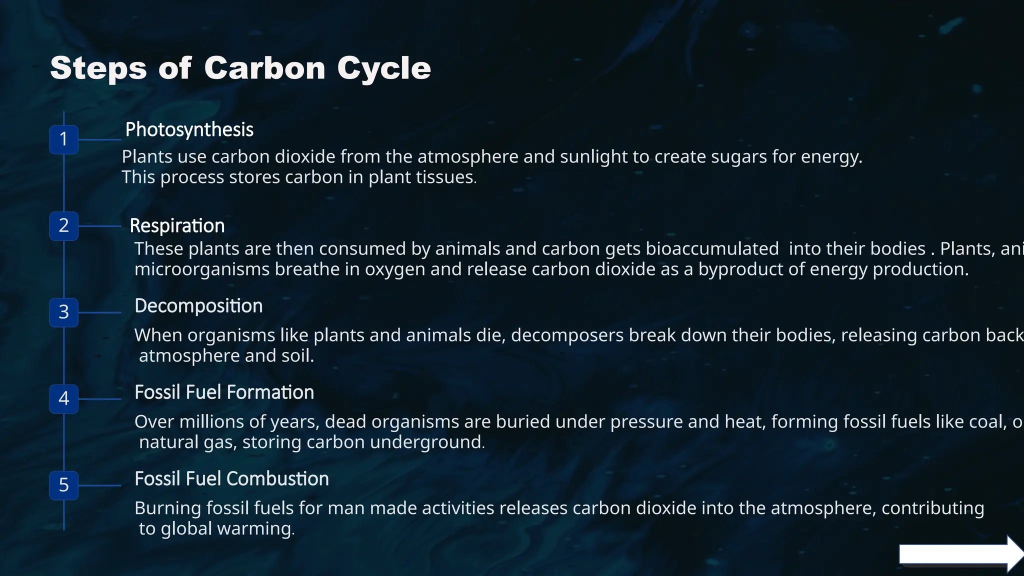 carbon cycle a presentation on geography | PPTX