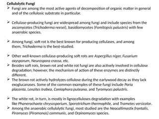 Cellulolytic Fungi
 Fungi are among the most active agents of decomposition of organic matter in general
and of the cellulosic substrate in particular.
 Cellulase-producing fungi are widespread among fungi and include species from the
ascomycetes (Trichoderma reesei), basidiomycetes (Fomitopsis palustris) with few
anaerobic species.
 Among fungi, soft rot is the best known for producing cellulases, and among
them, Trichoderma is the best-studied.
 Other well-known cellulase-producing soft rots are Aspergillus niger, Fusarium
oxysporum, Neurospora crassa, etc.
 Besides soft rots, brown rot and white rot fungi are also actively involved in cellulose
degradation; however, the mechanism of action of these enzymes are distinctly
different.
 The brown rot actively hydrolyzes cellulose during the earlywood decay as they lack
exoglucanases. Some of the common examples of these fungi include Poria
placenta, Lenzites trabea, Coniophora puteana, and Tyromyces palustris.
 The white rot, in turn, is mostly in lignocelluloses degradation with examples
like Phanerochaete chrysosporium, Sporotrichum thermophile, and Trametes versicolor.
 Among the anaerobic cellulolytic fungi, most studied are the Neocallimastix frontalis,
Piromyces (Piromonas) communis, and Orpinomyces species.
 