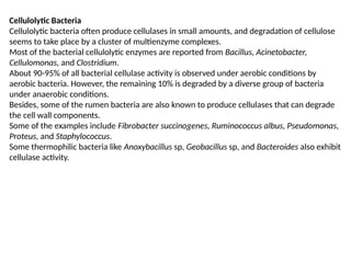 Cellulolytic Bacteria
Cellulolytic bacteria often produce cellulases in small amounts, and degradation of cellulose
seems to take place by a cluster of multienzyme complexes.
Most of the bacterial cellulolytic enzymes are reported from Bacillus, Acinetobacter,
Cellulomonas, and Clostridium.
About 90-95% of all bacterial cellulase activity is observed under aerobic conditions by
aerobic bacteria. However, the remaining 10% is degraded by a diverse group of bacteria
under anaerobic conditions.
Besides, some of the rumen bacteria are also known to produce cellulases that can degrade
the cell wall components.
Some of the examples include Fibrobacter succinogenes, Ruminococcus albus, Pseudomonas,
Proteus, and Staphylococcus.
Some thermophilic bacteria like Anoxybacillus sp, Geobacillus sp, and Bacteroides also exhibit
cellulase activity.
 