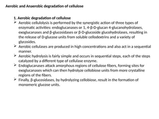 Aerobic and Anaerobic degradation of cellulose
1. Aerobic degradation of cellulose
 Aerobic cellulolysis is performed by the synergistic action of three types of
enzymatic activities: endoglucanases or 1, 4-β-D-glucan 4-glucanohydrolases,
exoglucanases and β-glucosidases or β-D-glucoside glucohydrolases, resulting in
the release of D-glucose units from soluble cellodextrins and a variety of
glycosides.
 Aerobic cellulases are produced in high concentrations and also act in a sequential
manner.
 Aerobic hydrolysis is fairly simple and occurs in sequential steps, each of the steps
catalyzed by a different type of cellulase enzyme.
 Endoglucanases attack amorphous regions of cellulose fibers, forming sites for
exoglucanases which can then hydrolyze cellobiose units from more crystalline
regions of the fibers.
 Finally, β-glucosidases, by hydrolyzing cellobiose, result in the formation of
monomeric glucose units.
 