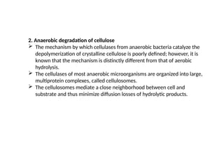 2. Anaerobic degradation of cellulose
 The mechanism by which cellulases from anaerobic bacteria catalyze the
depolymerization of crystalline cellulose is poorly defined; however, it is
known that the mechanism is distinctly different from that of aerobic
hydrolysis.
 The cellulases of most anaerobic microorganisms are organized into large,
multiprotein complexes, called cellulosomes.
 The cellulosomes mediate a close neighborhood between cell and
substrate and thus minimize diffusion losses of hydrolytic products.
 