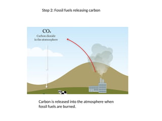 Step 2: Fossil fuels releasing carbon
Carbon is released into the atmosphere when
fossil fuels are burned.
 