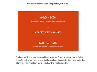 The chemical reaction for photosynthesis:
Carbon, which is represented by the letter C in the equation, is being
transferred from the carbon in the carbon dioxide to the carbon in the
glucose. This reaction forms part of the carbon cycle.
 