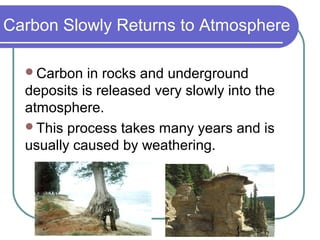 Carbon Slowly Returns to Atmosphere
Carbon in rocks and underground
deposits is released very slowly into the
atmosphere.
This process takes many years and is
usually caused by weathering.
 