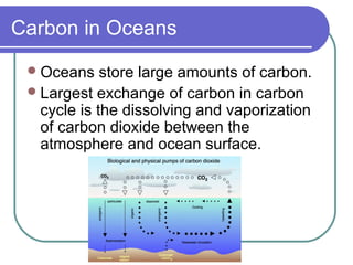 Carbon in Oceans
Oceans store large amounts of carbon.
Largest exchange of carbon in carbon
cycle is the dissolving and vaporization
of carbon dioxide between the
atmosphere and ocean surface.
 