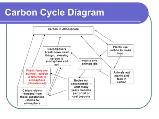 Carbon Cycle Diagram
Carbon in Atmosphere
Plants use
carbon to make
food
Animals eat
plants and
take in
carbon
Plants and
animals die
Decomposers
break down dead
things, releasing
carbon to
atmosphere and
soil
Bodies not
decomposed —
after many
years, become
part of oil or
coal deposits
Fossil fuels are
burned; carbon
is returned to
atmosphere
(Unbalanced)
Carbon slowly
released from
these substances
returns to
atmosphere
 