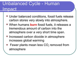 Unbalanced Cycle - Human
Impact
 Under balanced conditions, fossil fuels release
carbon stores very slowly into atmosphere.
 When humans burn fossil fuels, it releases a
tremendous amount of carbon into the
atmosphere over a very short time span.
 Increased carbon dioxide in atmosphere
increases global warming
 Fewer plants mean less CO2 removed from
atmosphere
 