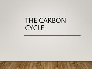 THE CARBON
CYCLE
 