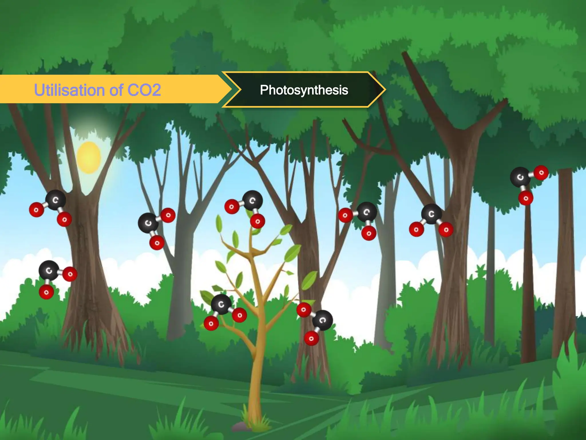 Utilisation of CO2 Photosynthesis
 