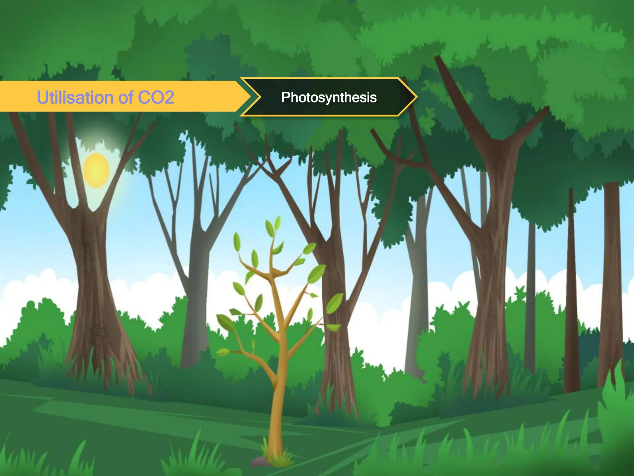 Utilisation of CO2 Photosynthesis
 