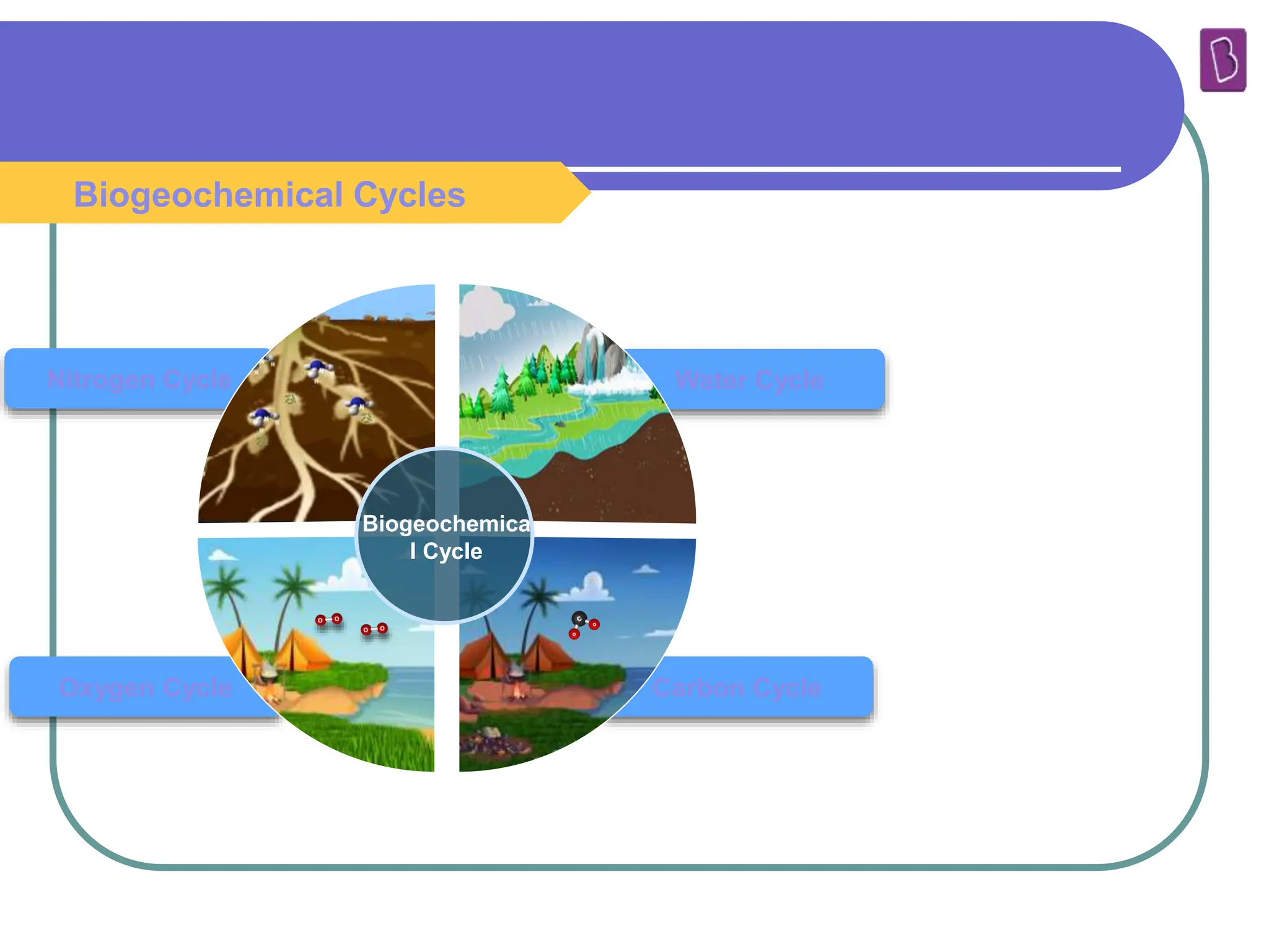 Nitrogen Cycle Water Cycle
Oxygen Cycle Carbon Cycle
Biogeochemica
l Cycle
Biogeochemical Cycles
 
