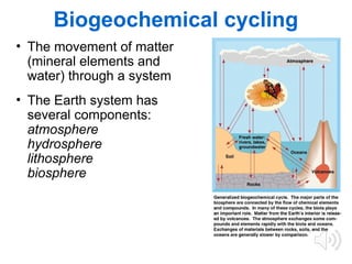 The Carbon Cycle Powerpoint Presentation | PPT