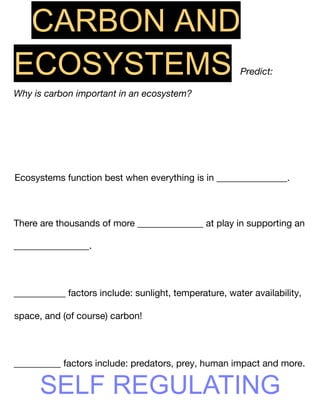Carbon Cycle Guided Notes.pdf environmental science | PDF