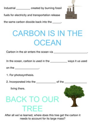 Carbon Cycle Guided Notes.pdf environmental science | PDF