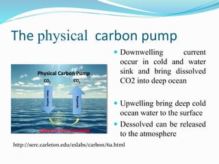 The physical carbon pump
 Downwelling current
occur in cold and water
sink and bring dissolved
CO2 into deep ocean
 Upwelling bring deep cold
ocean water to the surface
 Dessolved can be released
to the atmosphere
http://serc.carleton.edu/eslabs/carbon/6a.html
 