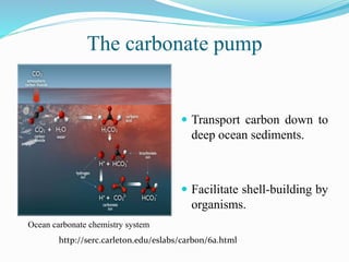 The carbonate pump
 Transport carbon down to
deep ocean sediments.
 Facilitate shell-building by
organisms.
Ocean carbonate chemistry system
http://serc.carleton.edu/eslabs/carbon/6a.html
 