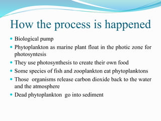 How the process is happened
 Biological pump
 Phytoplankton as marine plant float in the photic zone for
photosyntesis
 They use photosynthesis to create their own food
 Some species of fish and zooplankton eat phytoplanktons
 Those organisms release carbon dioxide back to the water
and the atmosphere
 Dead phytoplankton go into sediment
 