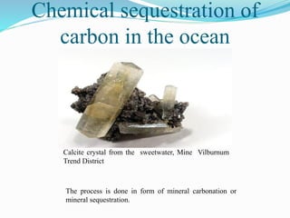 Chemical sequestration of
carbon in the ocean
The process is done in form of mineral carbonation or
mineral sequestration.
Calcite crystal from the sweetwater, Mine Vilburnum
Trend District
 
