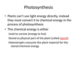 Photosynthesis
• Plants can’t use light energy directly, instead
they must convert it to chemical energy in the
process of photosynthesis
• This chemical energy is either
Used to survive (energy to live)
Stored as physical part of the plant (called starch)
Heterotrophs consume the plant material for this
stored chemical energy

 