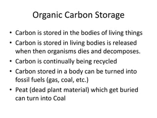 Organic Carbon Storage
• Carbon is stored in the bodies of living things
• Carbon is stored in living bodies is released
when then organisms dies and decomposes.
• Carbon is continually being recycled
• Carbon stored in a body can be turned into
fossil fuels (gas, coal, etc.)
• Peat (dead plant material) which get buried
can turn into Coal

 