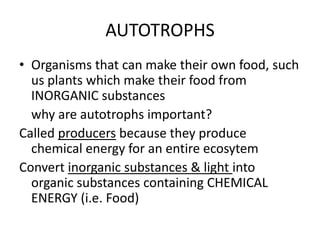 AUTOTROPHS
• Organisms that can make their own food, such
us plants which make their food from
INORGANIC substances
why are autotrophs important?
Called producers because they produce
chemical energy for an entire ecosytem
Convert inorganic substances & light into
organic substances containing CHEMICAL
ENERGY (i.e. Food)

 