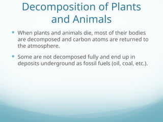Carbon Cycle PPT.pptx.kugliugliugliugliugl | PPTX