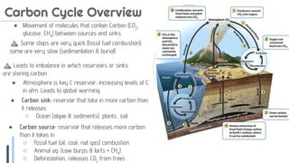 Carbon Cycle Slides APES 2025 1.4 Slideshow.pdf