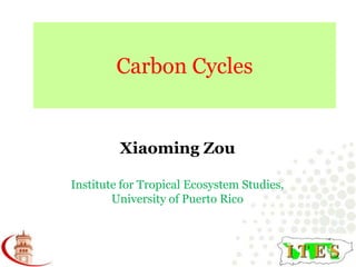 Carbon Cycles Xiaoming Zou Institute for Tropical Ecosystem Studies, University of Puerto Rico 