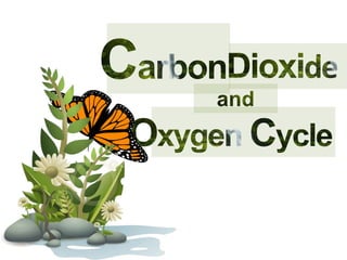 Carbon dioxide and oxygen cycle | PPTX