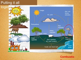 Carbon dioxide and oxygen cycle | PPTX