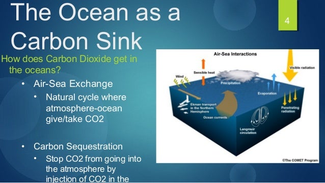 Carbon Dioxide In The Oceans